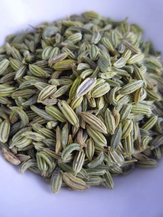 Fennel Seeds for Sale in Bulk