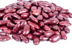 Heirloom Bean Seeds for Sale