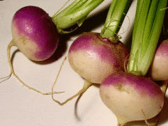 Turnip Garden Seeds